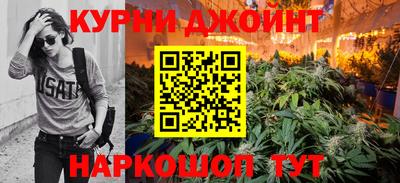 гидра Дубна