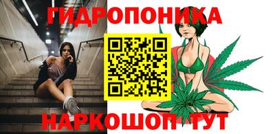 кокс Донской