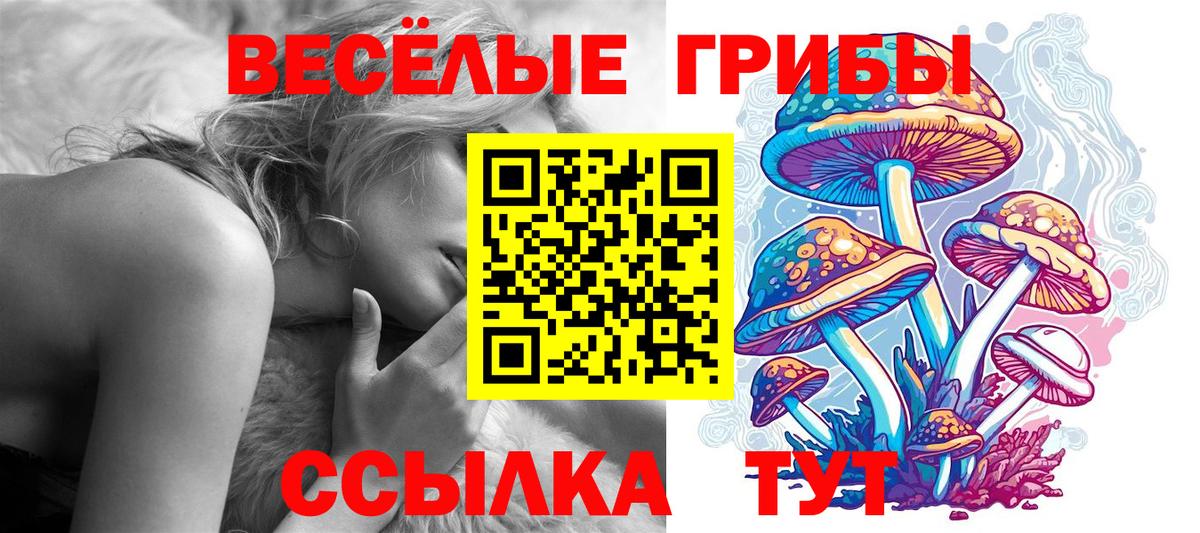 Ирбит  Галлюциногенные грибы Magic Shrooms  Вход с VPN  Галлюциногенные грибы ЛСД 